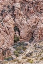 Details of Red Rock CanyonÃ¢â¬â¢s Rugged Terrain