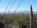Beautiful Arizona desert and mountain landscape