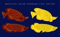 Beautiful arowana fish vector illustration bundle set Royalty Free Stock Photo