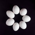 Beautiful arrangement of eggs on black