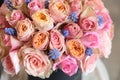 Beautiful arrangement of light pink roses with grape hyacinth in the flowers shop. Royalty Free Stock Photo