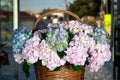 Basket Filled With Pink and Blue Flowers