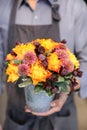 Beautiful arrangement of yellow roses and burgundy chrysanthemums in the male florist hands