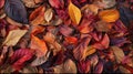 The beautiful array of autumn leaves showcasing vibrant fall colors. AI generated image Royalty Free Stock Photo