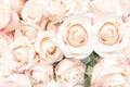 Beautiful art and craft of soft pink roses made of fabric. Royalty Free Stock Photo