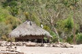 A traditional house was located near to forest, Suai Timor Leste