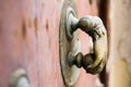 Beautiful art sculpture door handle