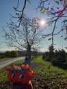 Beautiful artful hand-painted and decorated pumpkin face in autumn landscape