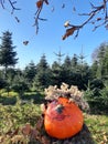 Beautiful artful hand-painted and decorated pumpkin face in grass in autumn landscape