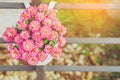 Beautiful artificial flowers in small pots hanging to decorate a railing walk for beauty on the pathway in public gardens.