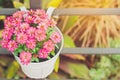 Beautiful artificial flowers in small pots hanging to decorate a railing walk for beauty on the pathway in public gardens.