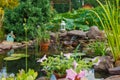 Beautiful artificial pond for growing koi carps in the garden near the house. There are a lot of green plants around, a Royalty Free Stock Photo