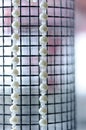 Artificial Pearl Necklace