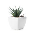 Beautiful artificial plant in flower pot isolated