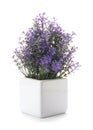 Beautiful artificial plant in flower pot isolated