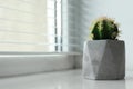 Artificial plant in flower pot on window sill. Space for text Royalty Free Stock Photo