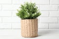 Beautiful artificial plant in wicker flower pot on wooden table near brick wall Royalty Free Stock Photo