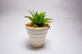 Beautiful artificial plants decorations, faux home tabletop greenery with white pot on white background.
