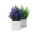 Beautiful artificial plants in flower pots isolated