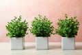 Beautiful artificial plants in flower pots on marble table against color background