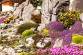 Beautiful artificially created rock garden