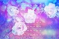 Beautiful artistic background with romantic pink roses Royalty Free Stock Photo