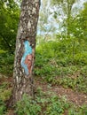 beautiful artistic drawing on a tree trunk in the forest