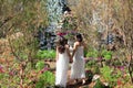 Beautiful Asian couple with with lace wedding LGBT women spent time together in park  homosexual announcement relationship for Royalty Free Stock Photo