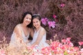 Beautiful Asian couple with wedding dress LGBT women spent time together in park  homosexual announcement relationship for social Royalty Free Stock Photo