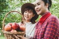 Beautiful family woman smile holding and eating apples at park. Royalty Free Stock Photo