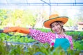 Beautiful asian farmer hand made to show the beauty of the organic vegetable garden, Smart farm Royalty Free Stock Photo