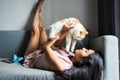 woman play with exotic shorthair cat on sofa Royalty Free Stock Photo