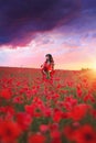 Beautiful Asian girl on the background of a blooming wild poppy field Royalty Free Stock Photo