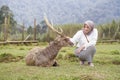 beautiful asian girl playing with deer