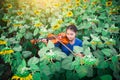 Asian girl playing violin in mist of sun flower field Royalty Free Stock Photo