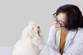 Beautiful Asian veterinary examining the white dog Royalty Free Stock Photo