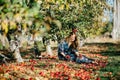 Beautiful asian woman in blue dress picking and smelling red apples in an orchard at Christchruch, New Zealand