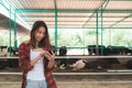 Beautiful asian woman or farmer using mobile phone or smartphone app with and cows in cowshed on dairy farm-Farming, and animal