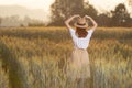 Beautiful asian woman having fun at barley field in summer at sunset time Royalty Free Stock Photo