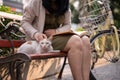 A beautiful Asian woman is playing with a stray cat while reading a book on a bench outdoors Royalty Free Stock Photo