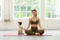 Beautiful Asian woman practice yoga lotus pose with dog pug breed enjoy and relax with yoga Royalty Free Stock Photo