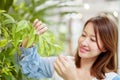 A beautiful Asian woman is standing in the garden plucking leaves happily and smiling