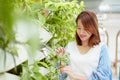 A beautiful Asian woman is standing in the garden plucking leaves happily and smiling