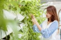 A beautiful Asian woman is standing in the garden plucking leaves happily and smiling