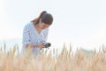 Beautiful asian woman taking photo and relaxing at barley field in summer on sunset time Royalty Free Stock Photo