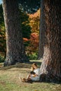 Beautiful asian woman in white dress sit under the tree  writing and thinking in the park with autumn leaves Royalty Free Stock Photo