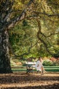 Beautiful asian woman in white dress sit under the tree  writing and thinking in the park with autumn leaves Royalty Free Stock Photo