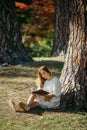 Beautiful asian woman in white dress sit under the tree  writing and thinking in the park with autumn leaves Royalty Free Stock Photo