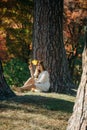 Beautiful asian woman in white dress sit under the tree  writing and thinking in the park with autumn leaves Royalty Free Stock Photo