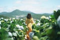 Beautiful Asian Woman in yellow dress walk in The Hydrangea Flowers Garden. Royalty Free Stock Photo